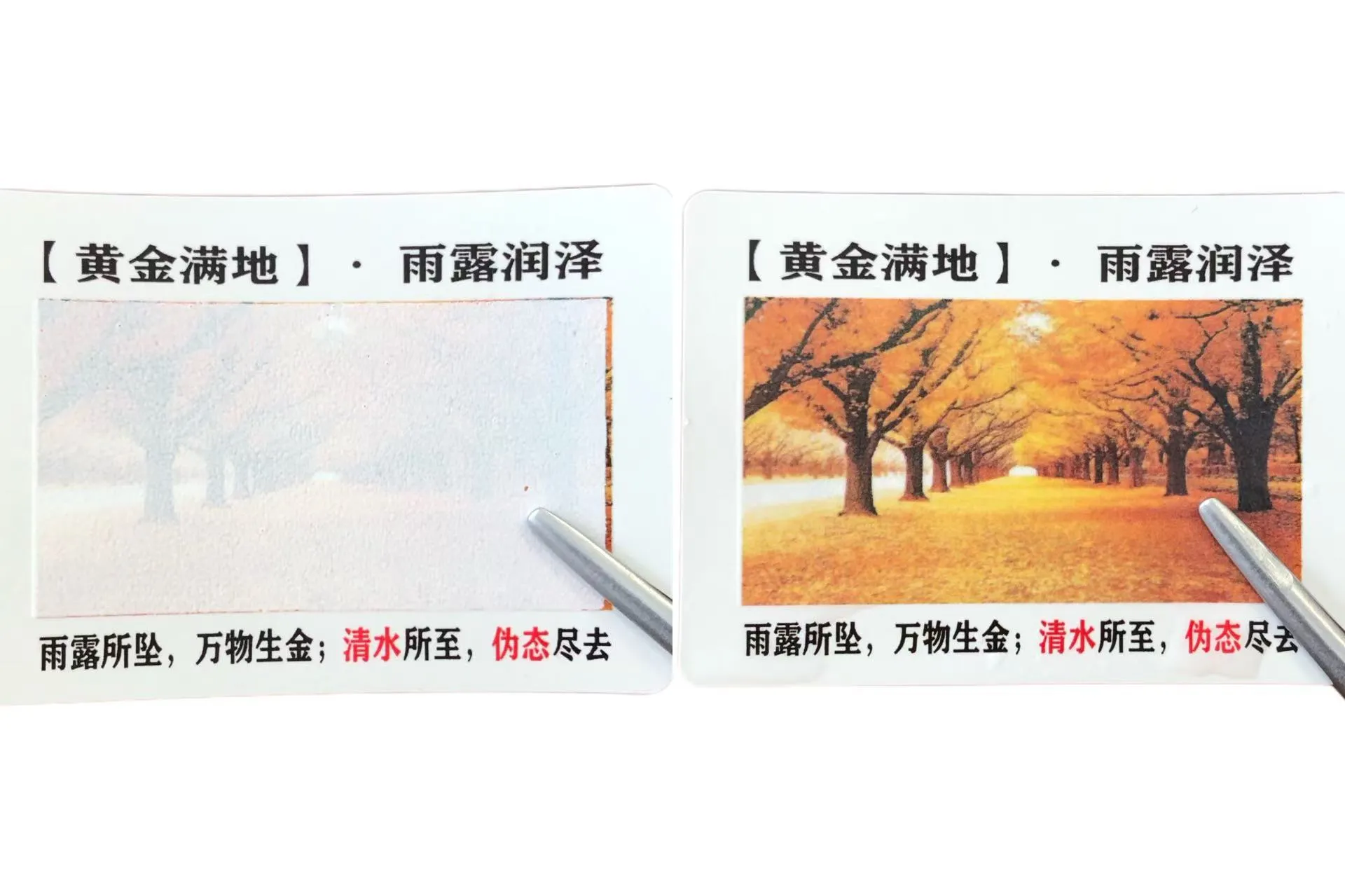 क्या आप रंग परिवर्तन जल संवेदनशील लेबल जानते हैं?