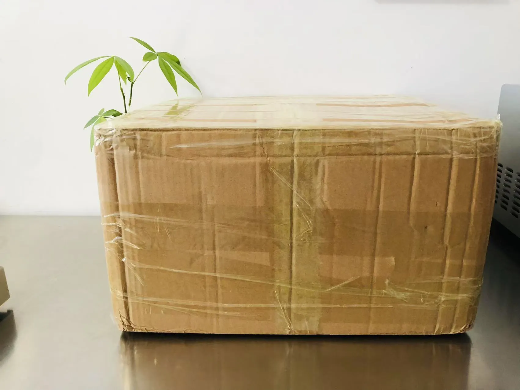 कार्टून सॉलिड एपॉक्सी स्टिकर अब जापान की राह पर हैं